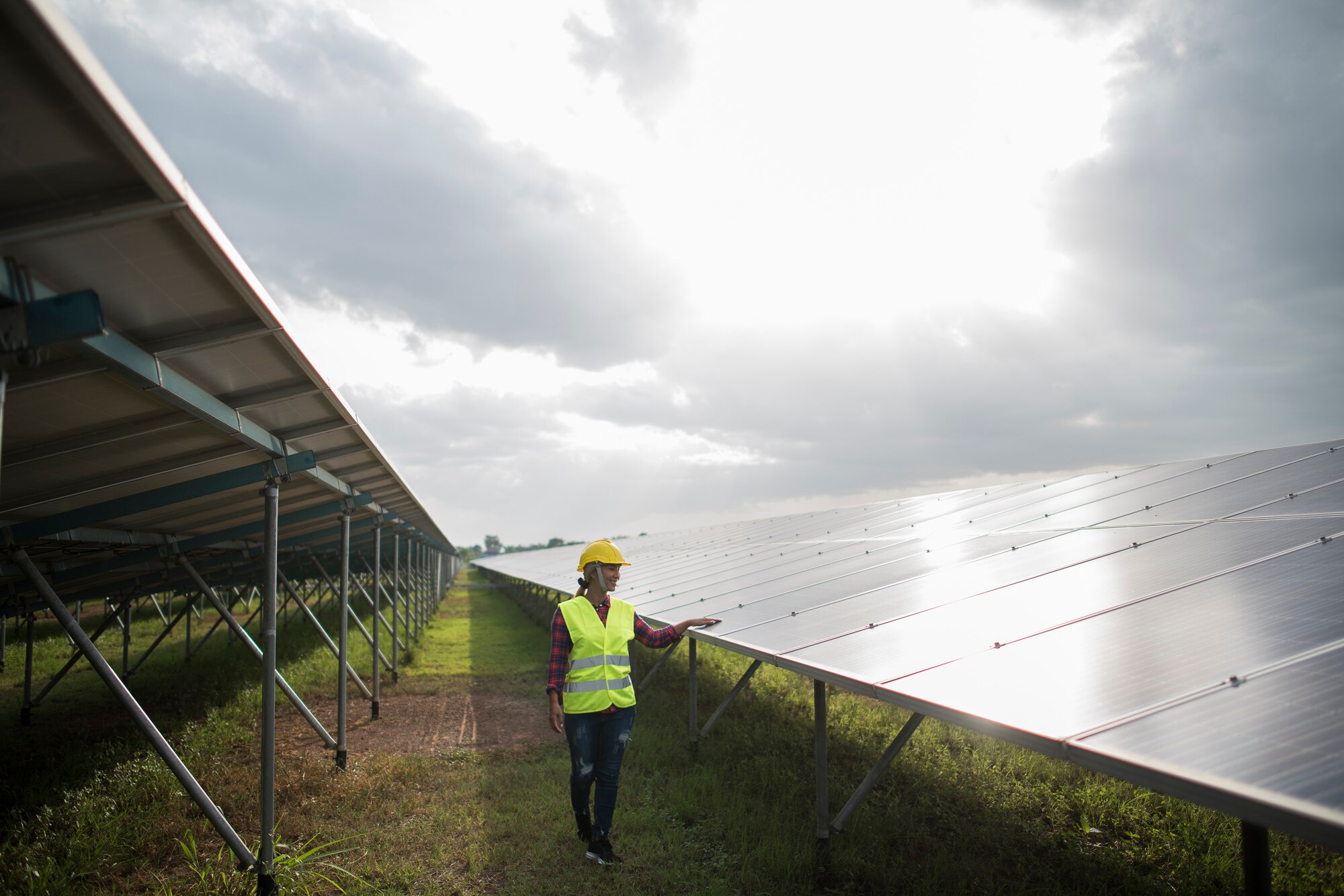 Energy & Renewables